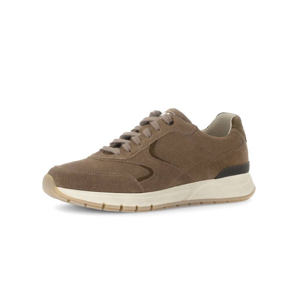 Pius Gabor Pius Gabor Sneaker low beige Vierteljährliche Förderung