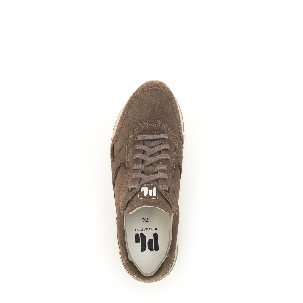 Pius Gabor Pius Gabor Sneaker low beige Vierteljährliche Förderung