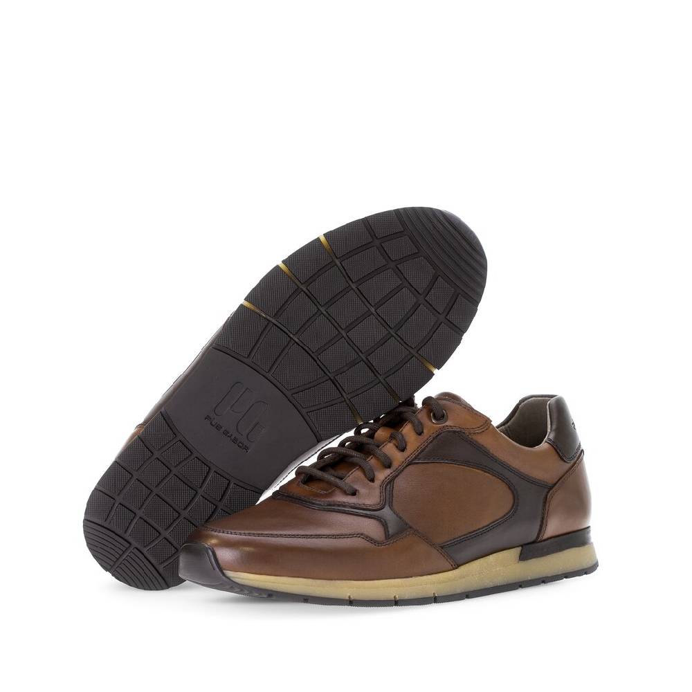 Pius Gabor Pius Gabor Sneaker low braun Kostenlose Rückgabe