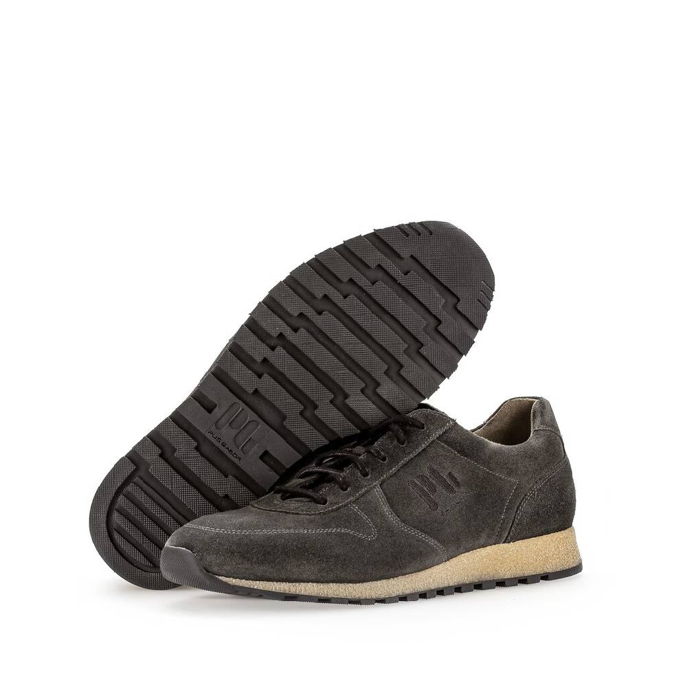 Pius Gabor Pius Gabor Sneaker low grau Discount Store für neue Produkte