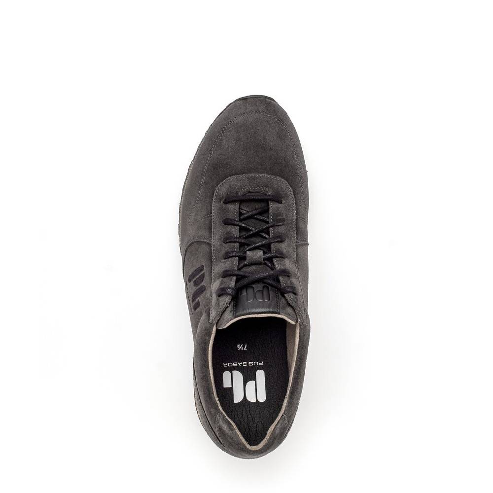 Pius Gabor Pius Gabor Sneaker low grau Discount Store für neue Produkte