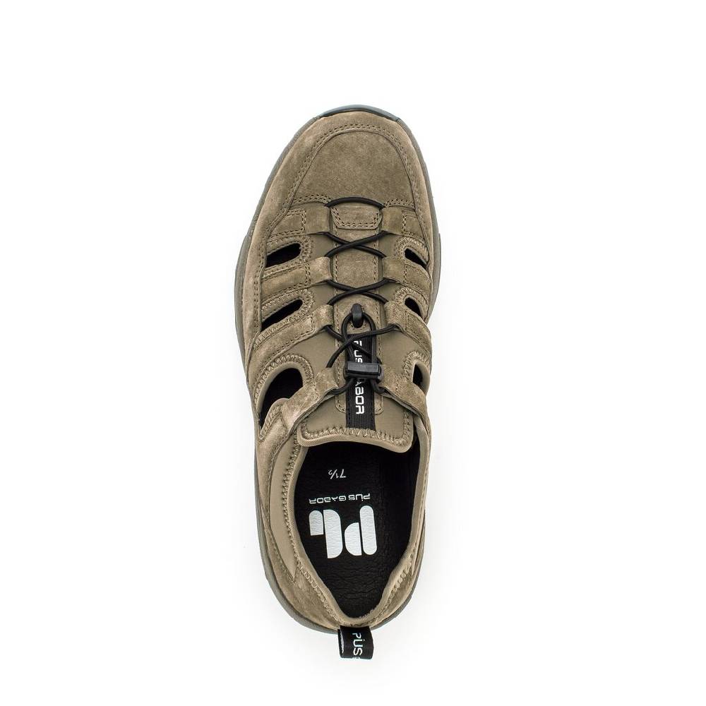 Pius Gabor Pius Gabor Sneaker low beige Meist gekauft