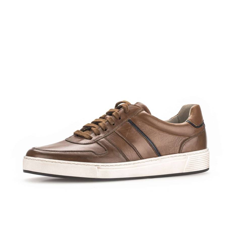 Pius Gabor Pius Gabor Sneaker low braun Fabrik Onlineshop
