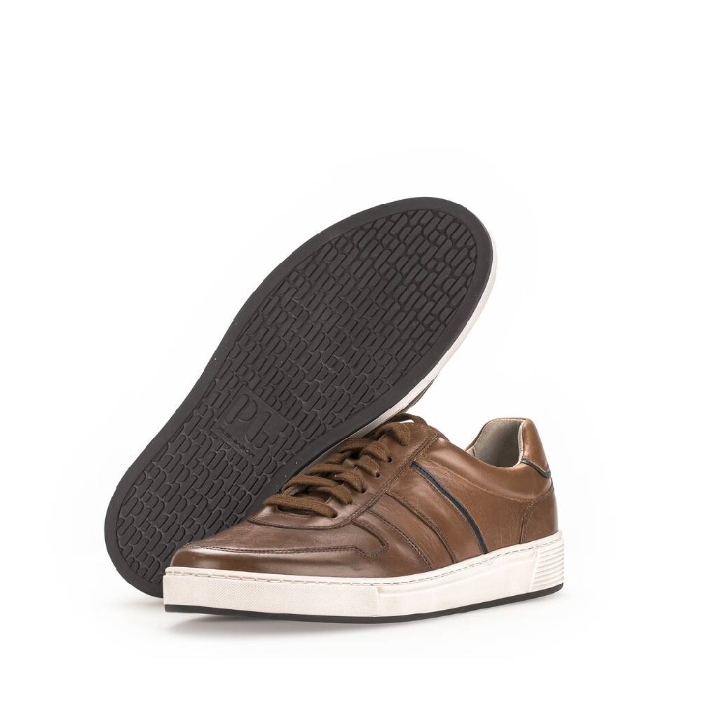 Pius Gabor Pius Gabor Sneaker low braun Fabrik Onlineshop