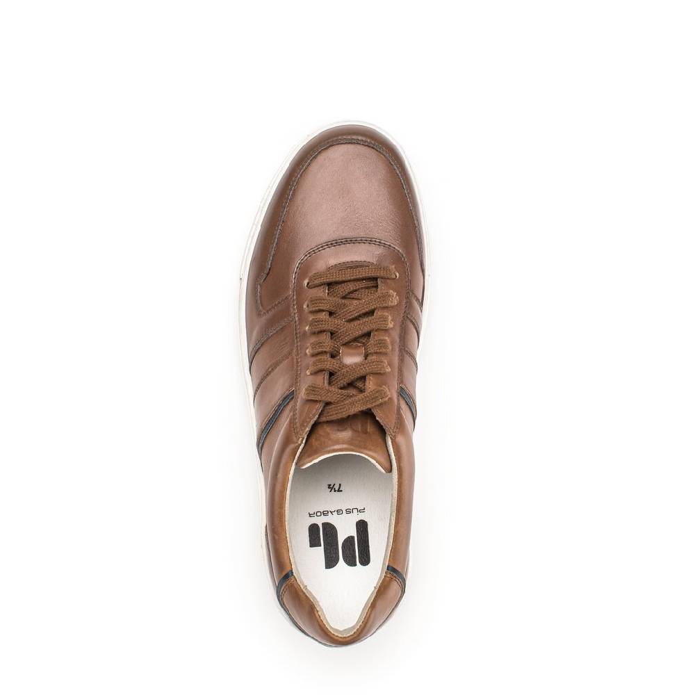 Pius Gabor Pius Gabor Sneaker low braun Fabrik Onlineshop
