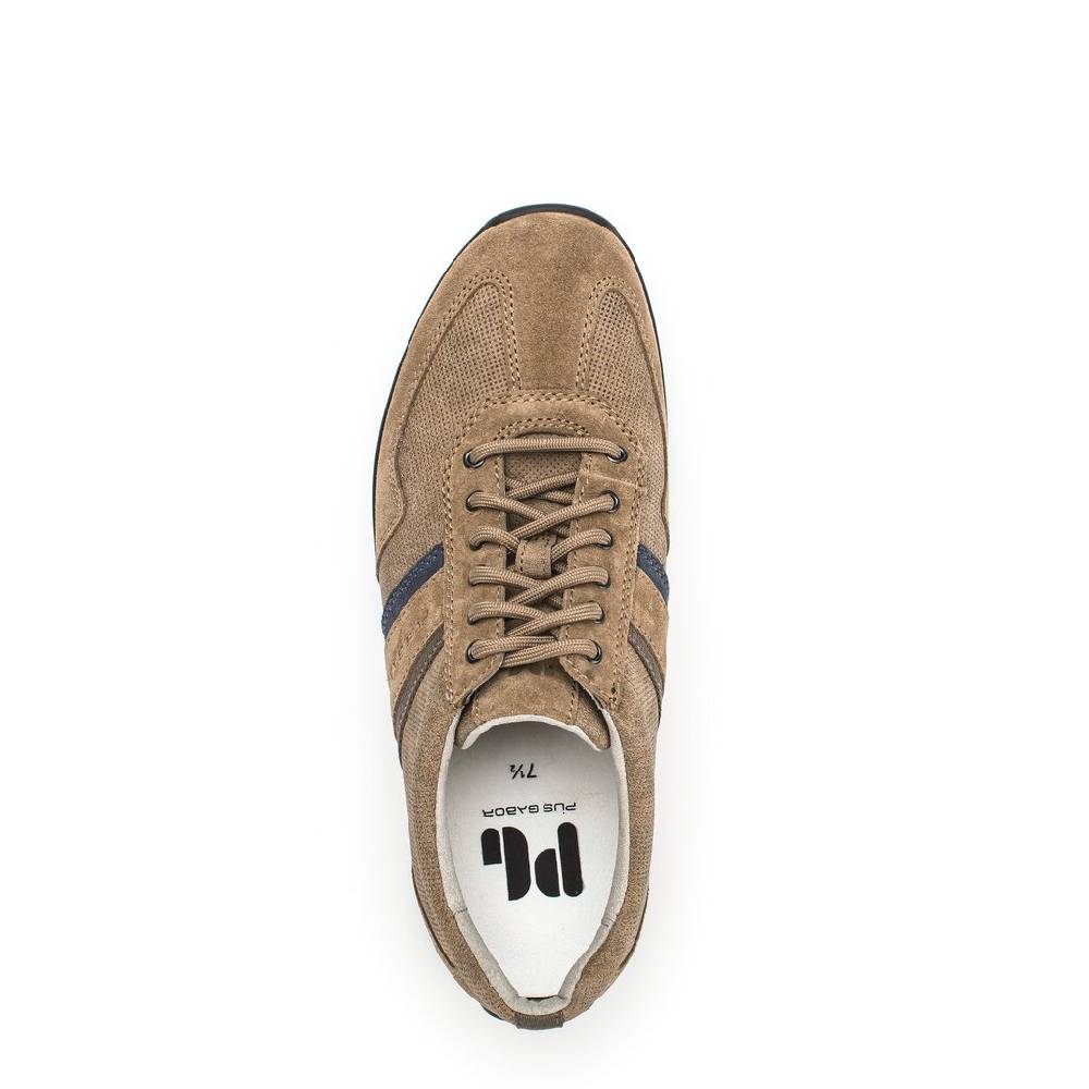 Pius Gabor Pius Gabor Sneaker low beige Fabrikpreis