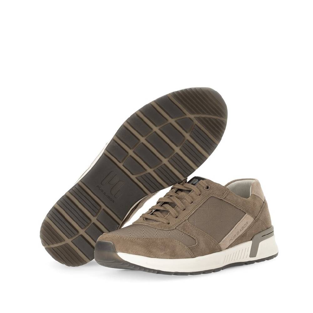 Pius Gabor Pius Gabor Sneaker low braun Online Shopping