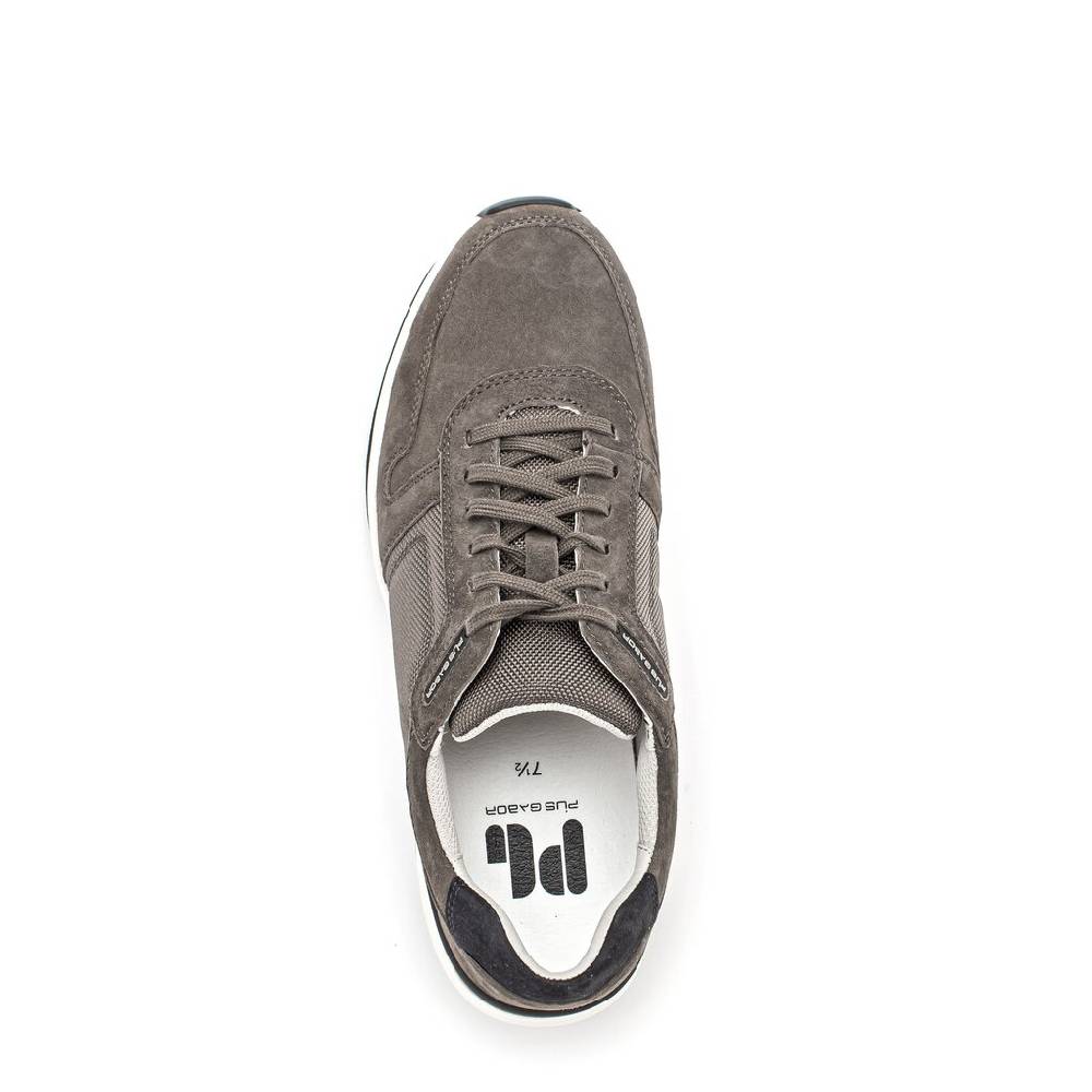 Pius Gabor Pius Gabor Sneaker low grau Exklusivangebot