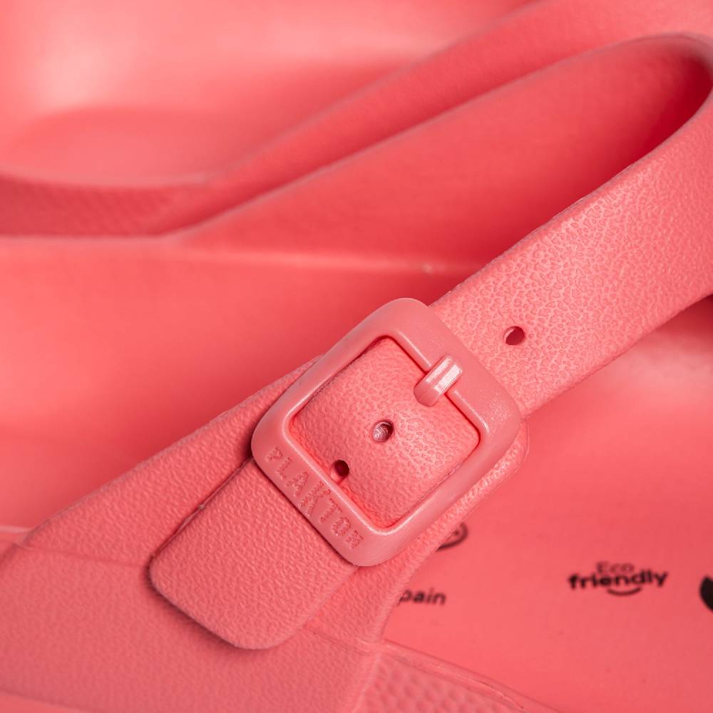 Plakton Wendy Pink Letzter Tag