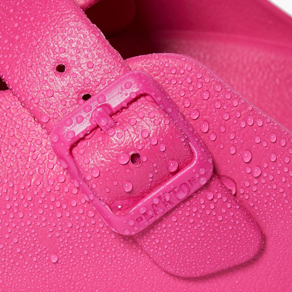 Plakton Winrar Fuxia 50% Rabatt mit kostenlosem Versand