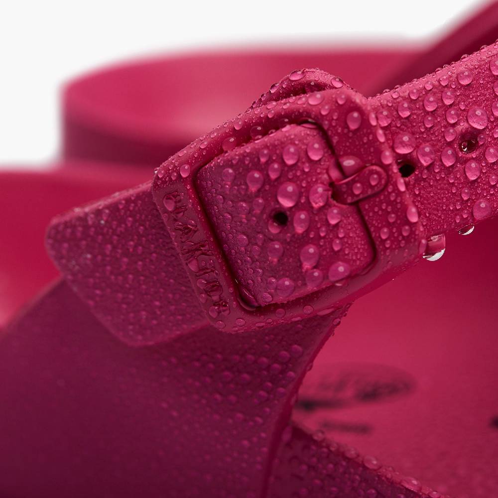 Plakton Wendy Fuxia Angebote