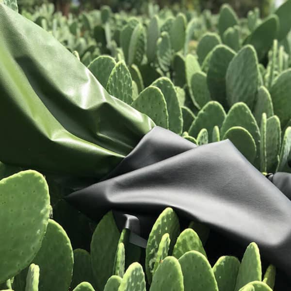 Pololo Veganer Kaktus Sneaker Schwarz Neueste Mode