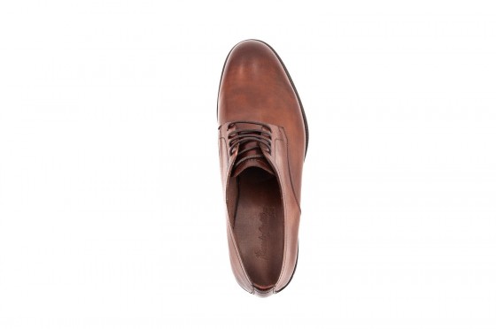Riccardo Cartillone Riccardo Cartillone 11852 Brandy Auslauf