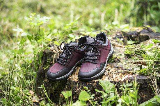 Schuhwerk Schwangau Hartjes Walker Blitzangebot