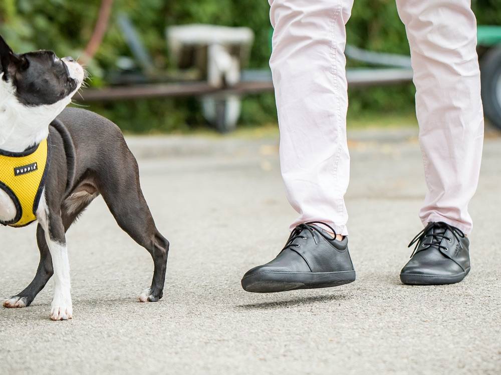 Sole Runner Pflegehinweise für SOLE RUNNER® Barfußschuhe Rabatte dieses Monats