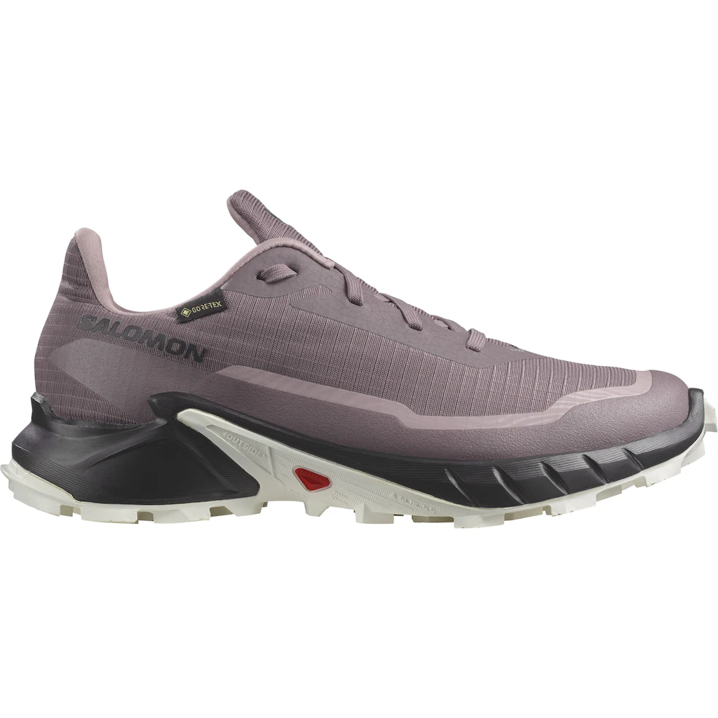 Salomon Trailrunningschuh »ALPHACROSS 5 W GORE-TEX« wasserdicht Sonderangebot